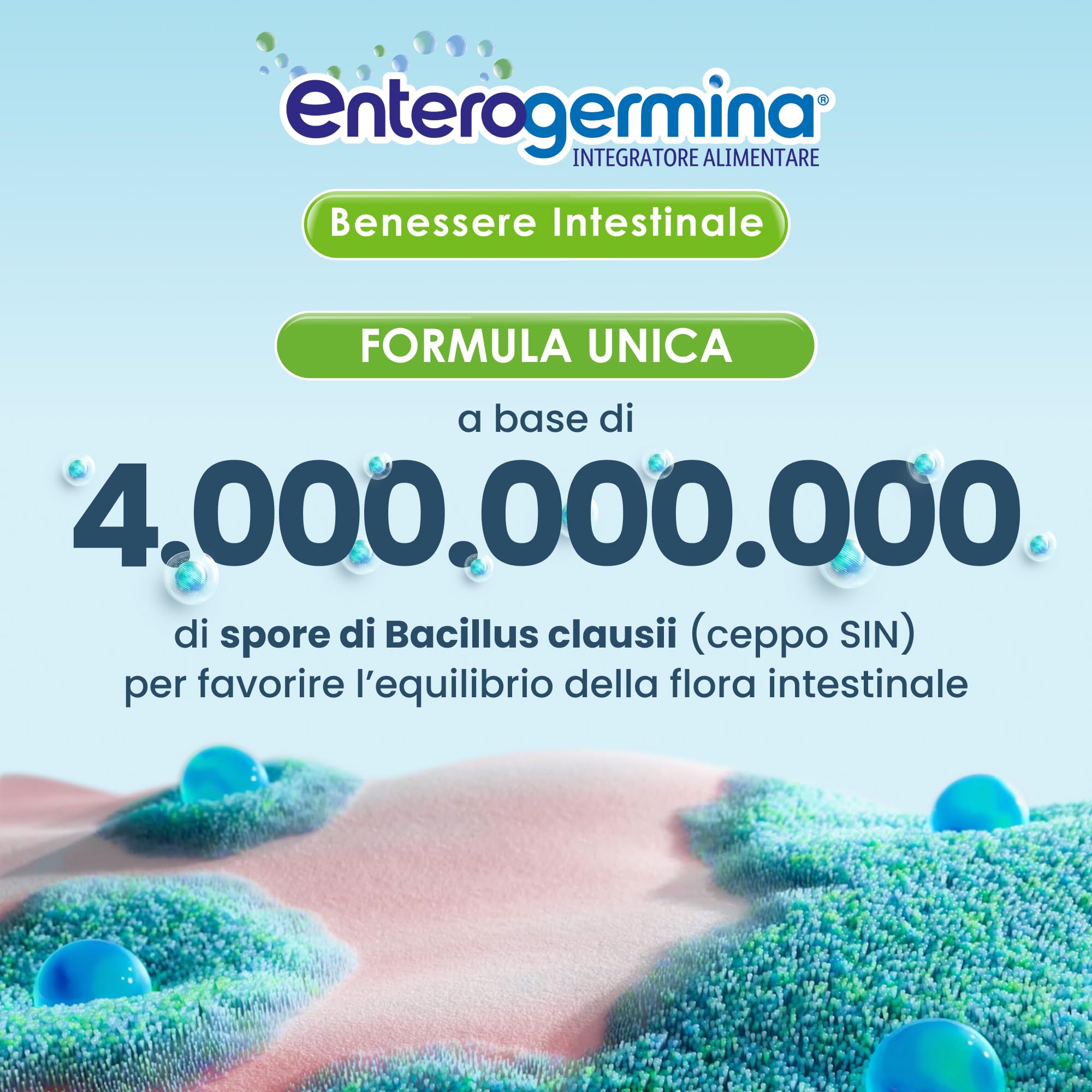 enterogermina-benessere-intestinale-fermenti-lattici-probiotici-4-miliardi-bacil image 2